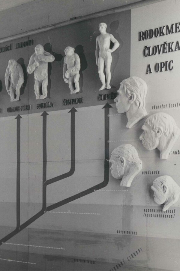 © Karel Otto Hrubý, Archiv Dům umění města Brna